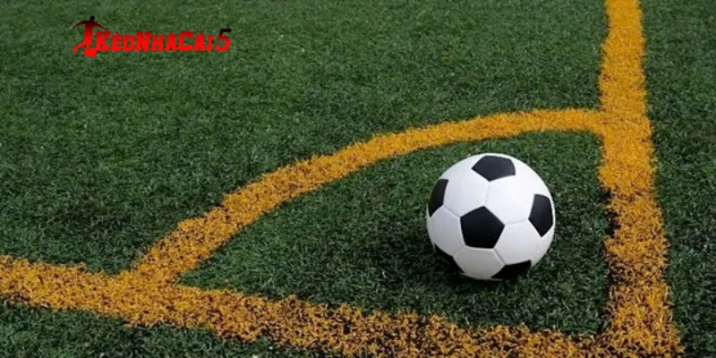 Bí kíp từ cao thủ khi soi kèo phạt góc