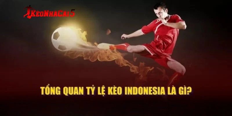 Định nghĩa tỷ lệ kèo indonesia là gì?