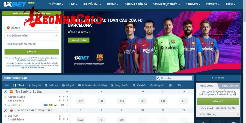 Đánh giá điểm tuyệt vời khi tham gia 1XBet